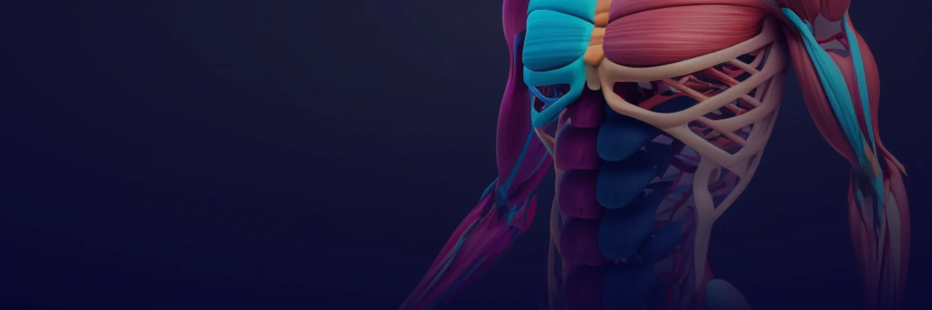 Анатомія в 3D: моделюємо кисті